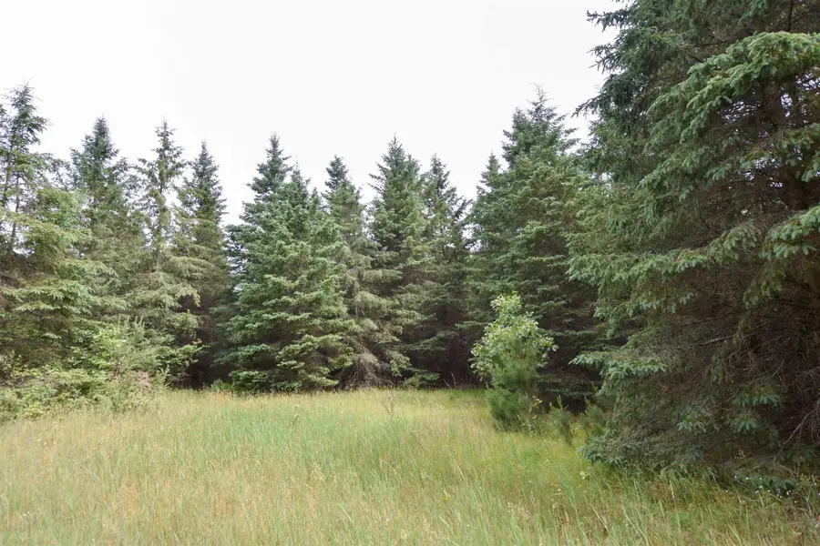 Brown Deer Drive, Hancock, WI 54943-0000 - #3