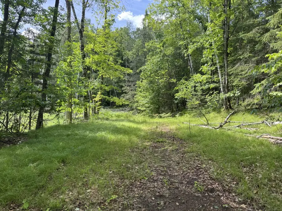 Blue Heron Lane, Athelstane, WI 54104 - #2