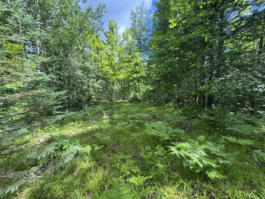 Blue Heron Lane, Athelstane, WI 54104 - #3