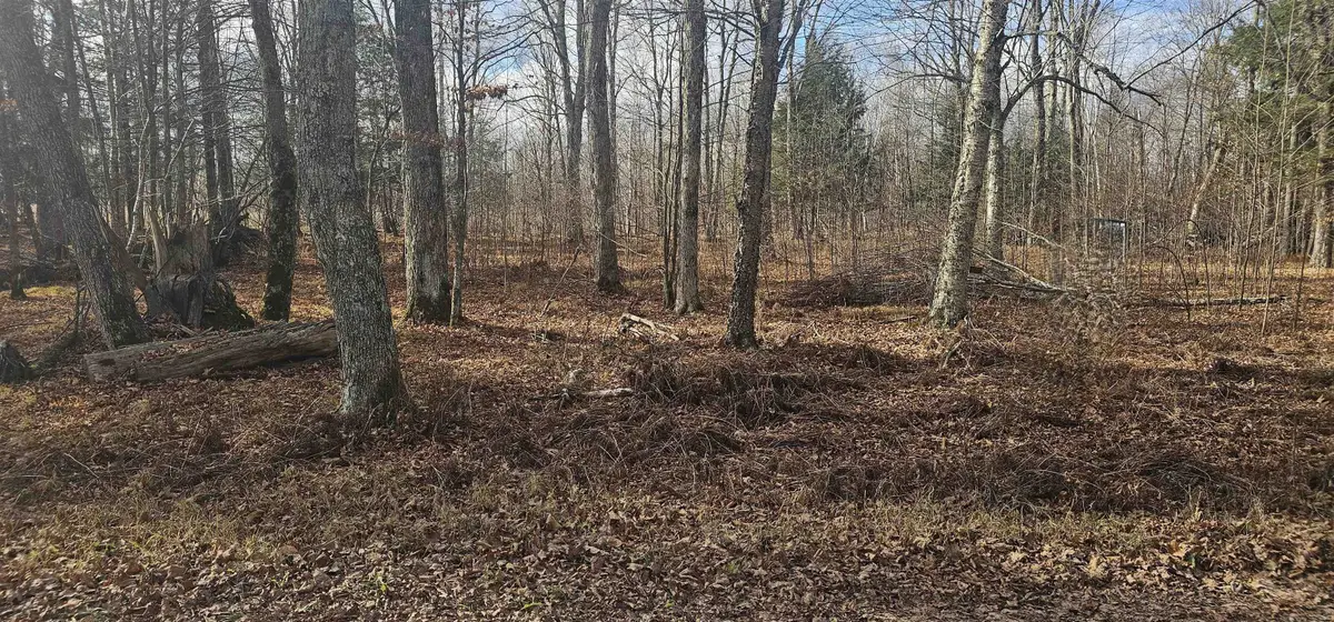 Chip N Dale Drive #64, Pickerel, WI 54465 - #1