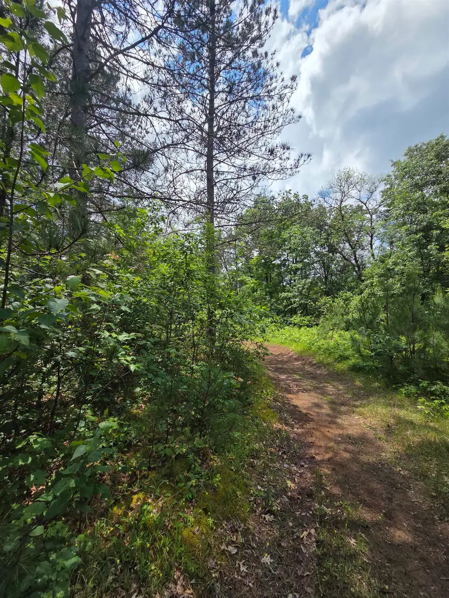 Tower Road, Athelstane, WI 54104 - #2