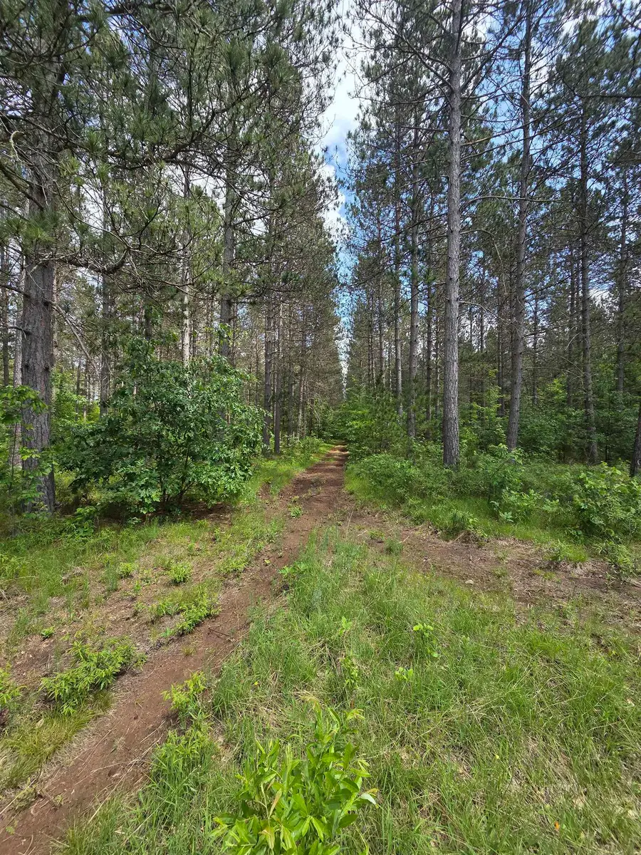 Tower Road, Athelstane, WI 54104 - #3