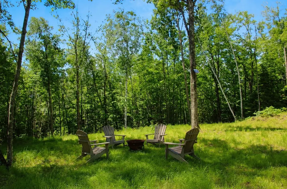 Bogus Road, Deerbrook, WI 54424 - #1