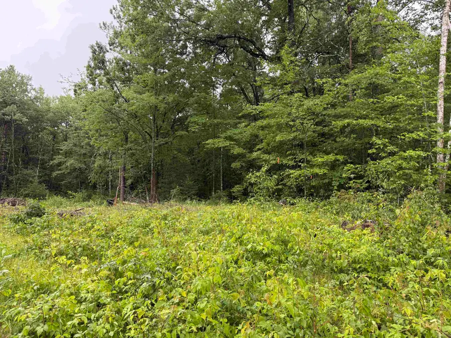 W1561 Hawks Nest Trail #62, Keshena, WI 54135-0000 - #3