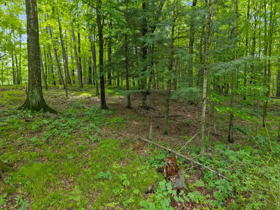 Island Lake Lane, Gresham, WI 54128 - #2