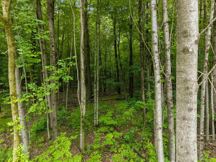 Island Lake Lane, Gresham, WI 54128 - #3