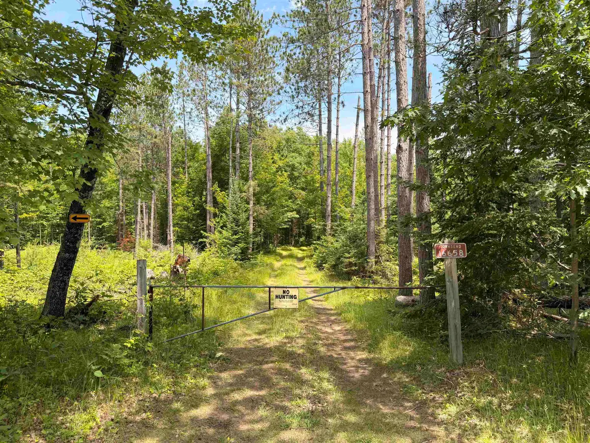 E Bass Lake Road, Townsend, WI 54175 - #1