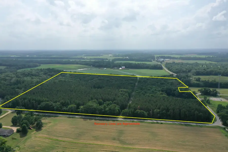Cypress Avenue, Wautoma, WI 54982 - #2