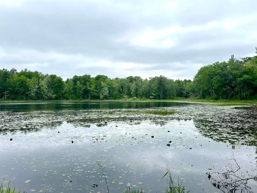 County P Road #1, Pound, WI 54161 - #2