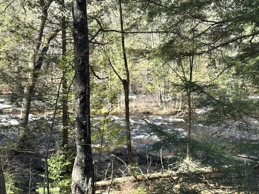 14089 Section 4 Lane, Mountain, WI 54149 - #2
