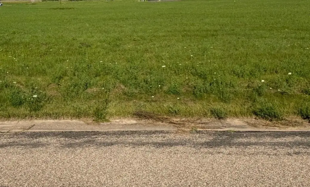 White Tail Drive #72, Fremont, WI 54940 - #1