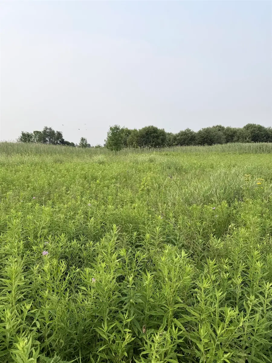 Foxwoods Lane, Abrams, WI 54101 - #2