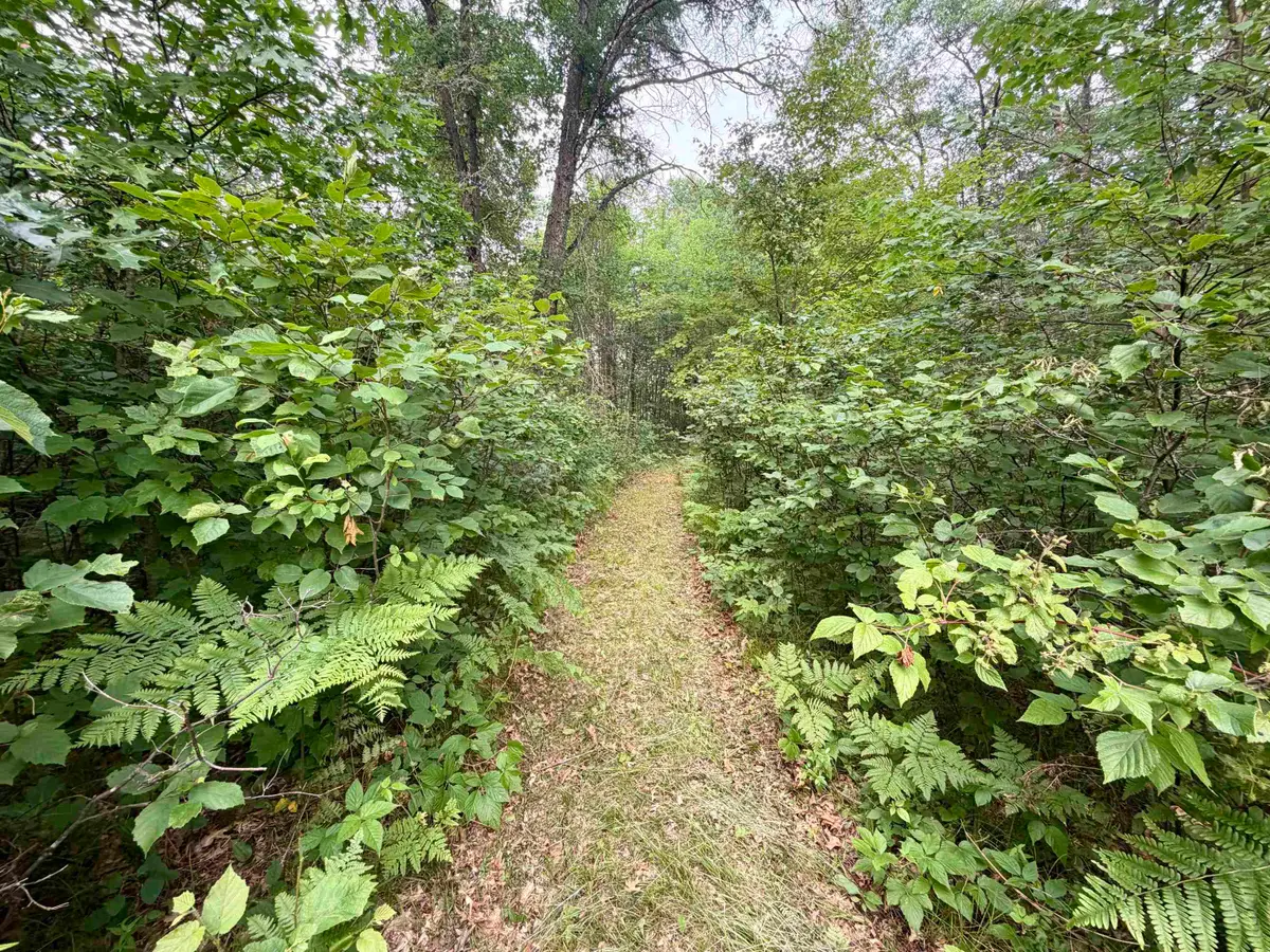 Merlin Lane, Crivitz, WI 54114 - #1