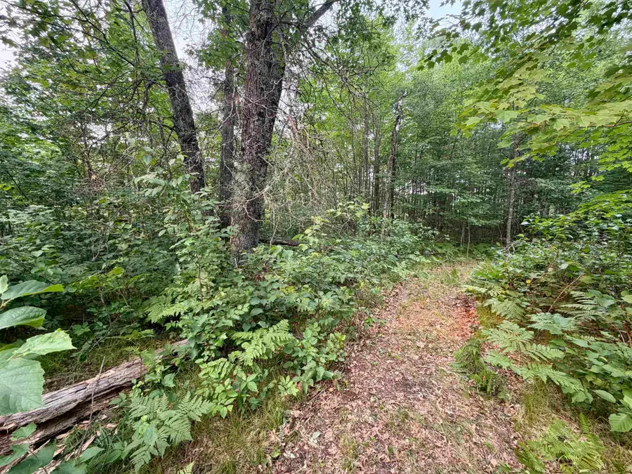 Merlin Lane, Crivitz, WI 54114 - #2