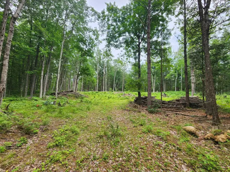 N11866 Menominee Shores Drive, Wausaukee, WI 54177 - #3