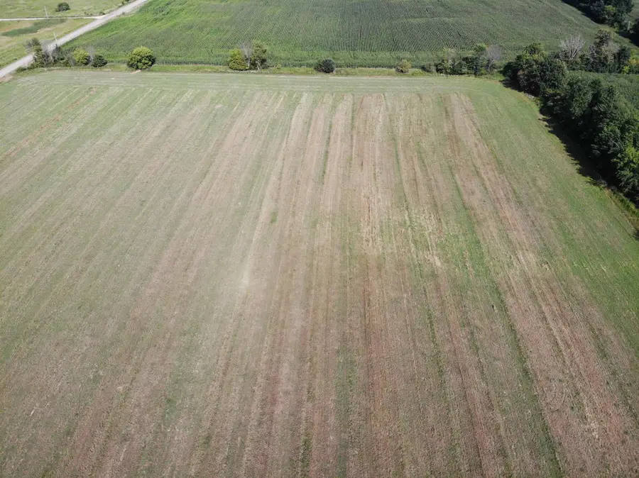 Alp Drive #4, Pine River, WI 54965 - #2