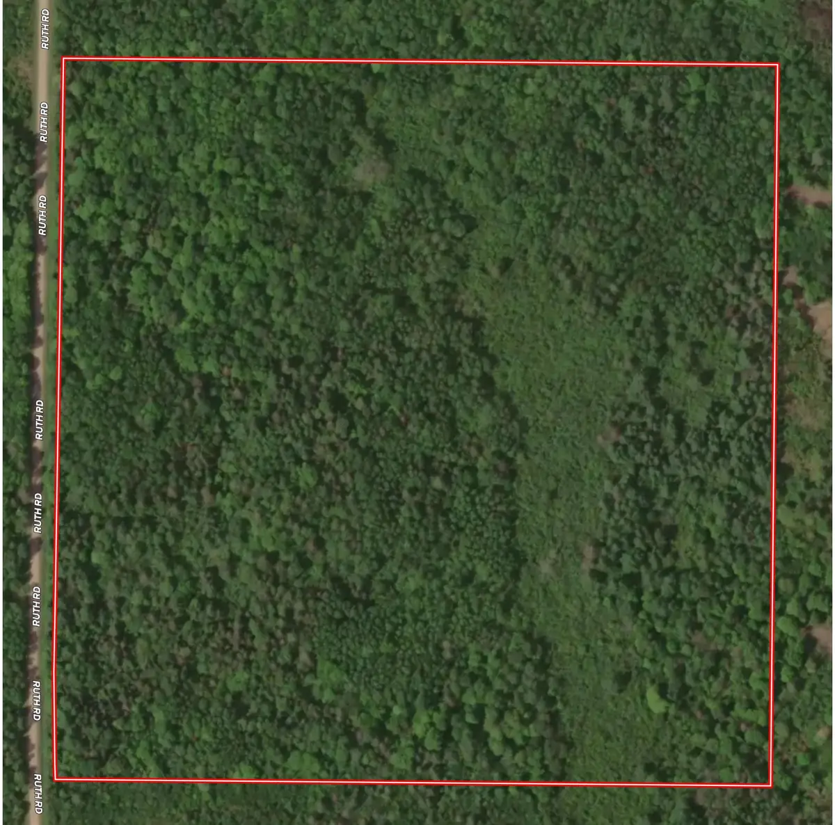 Ruth Road, Tripoli, WI 54564 - #1