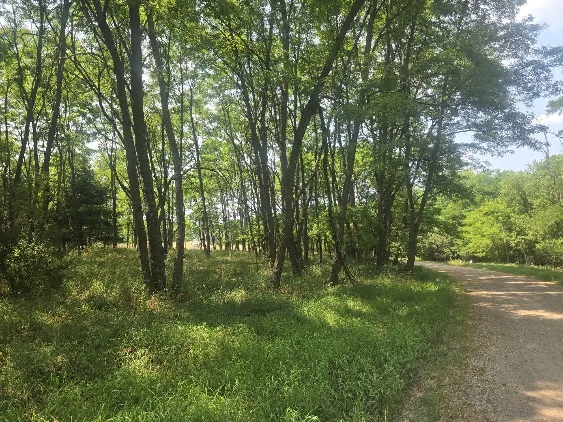 Pine Street #47,48, Pine River, WI 54965 - #1