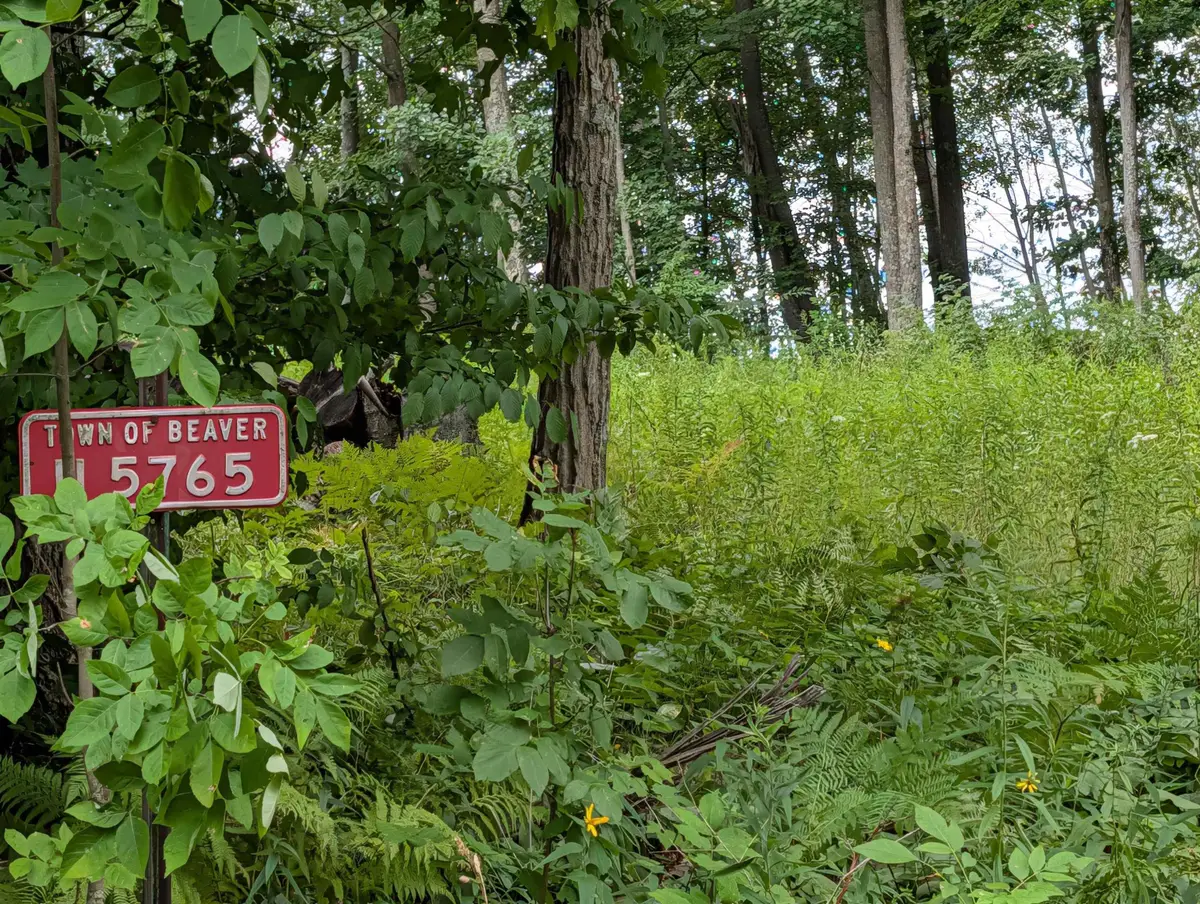 N5765 Parkway Road, Pound, WI 54161 - #1