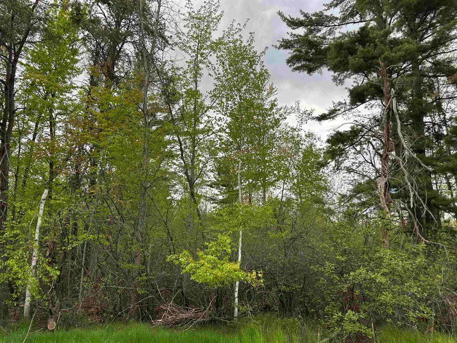 Mcgraw Street, Peshtigo, WI 54157 - #2