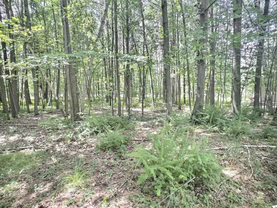 Buss Court #35, Shawano, WI 54166 - #2