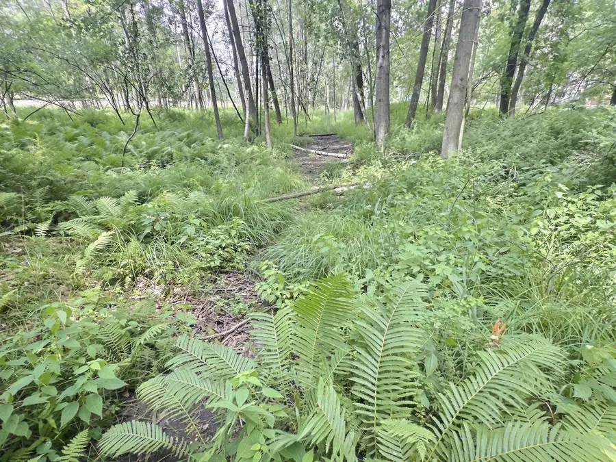 Buss Court #35, Shawano, WI 54166 - #3