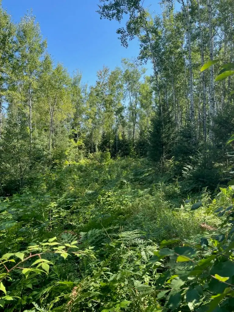 W Herzog Road, Iron Mountain, MI 49801 - #1