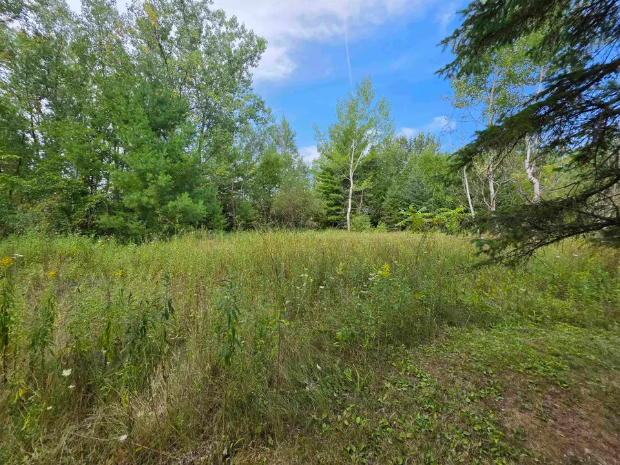243 Park Avenue, Oconto Falls, WI 54154-1624 - #2