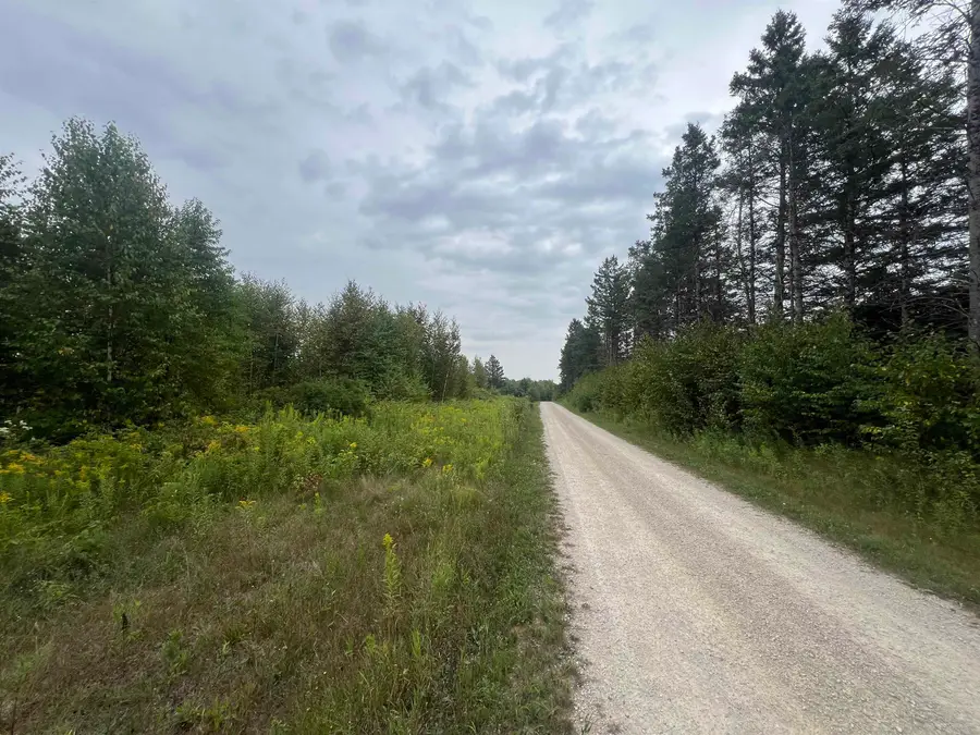 W5350 Big Woods Lane #5, Pembine, WI 54156 - #2