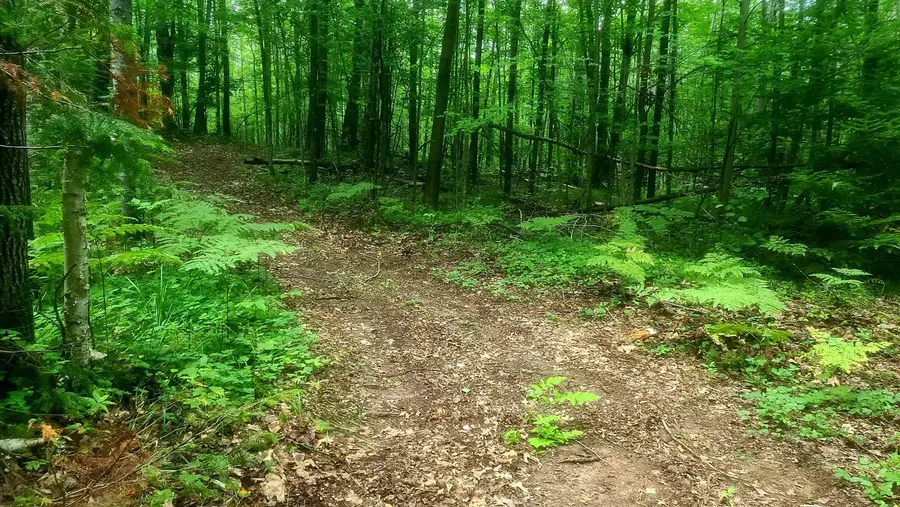 Whippoorwill Drive, Dunbar, WI 54119 - #3