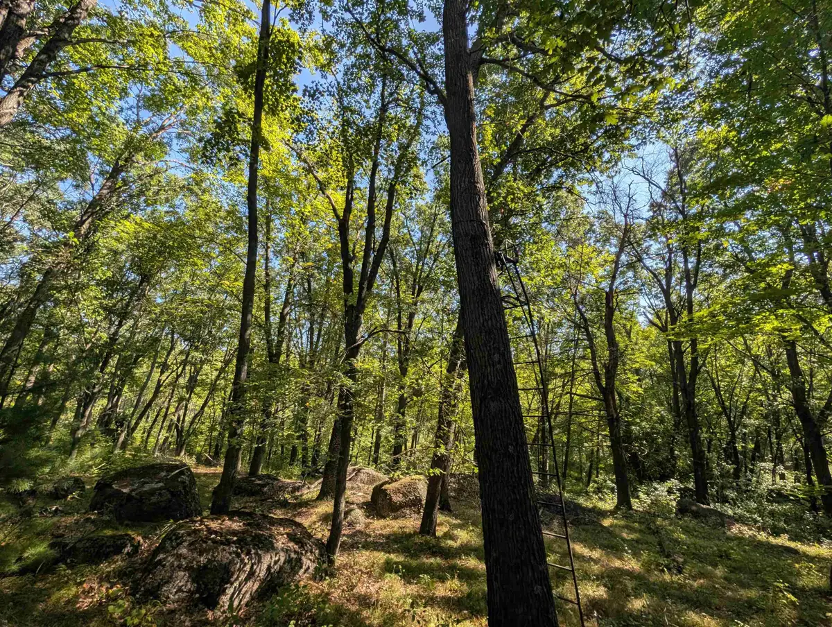 N6161 County Road K, Saint Lawrence, WI 54945 - #1