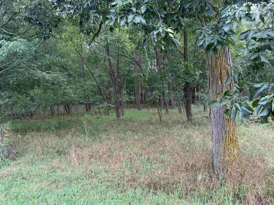 County E Road #HWY E, Pine River, WI 54965 - #3