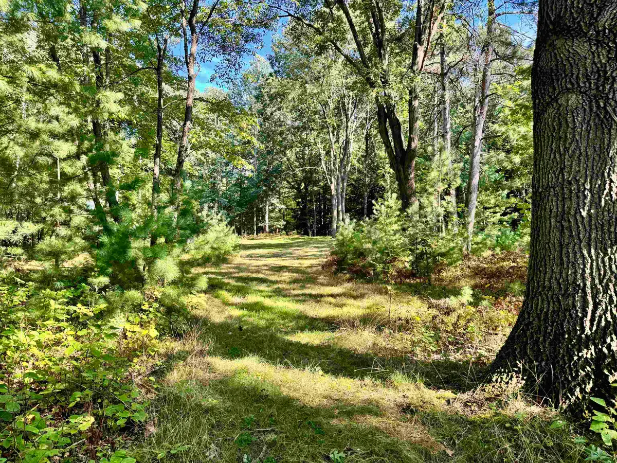 Maplewood Lane, Sobieski, WI 54171-9999 - #1