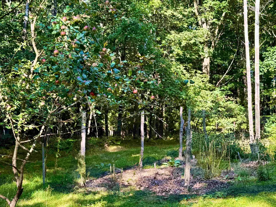 Maplewood Lane, Sobieski, WI 54171-9999 - #2