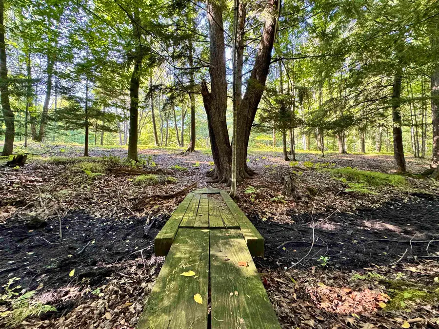 Maplewood Lane, Sobieski, WI 54171-9999 - #3