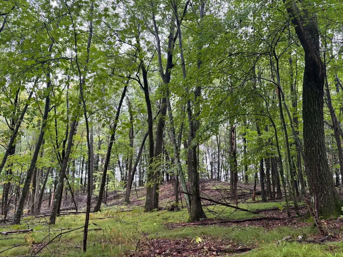 Doede Road #4, 5, Iola, WI 54945 - #1