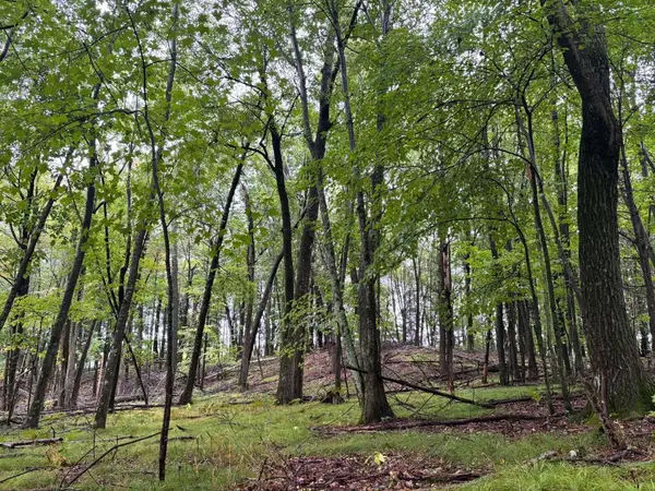 Doede Road #4, 5, IOLA, WI 54945