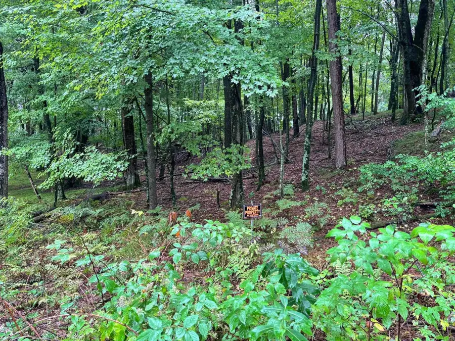 Doede Road #4, 5, Iola, WI 54945 - #3