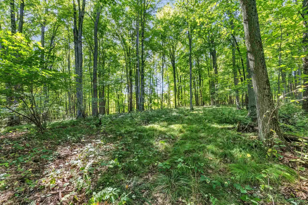 N West Hill Road, Iola, WI 54945 - #1