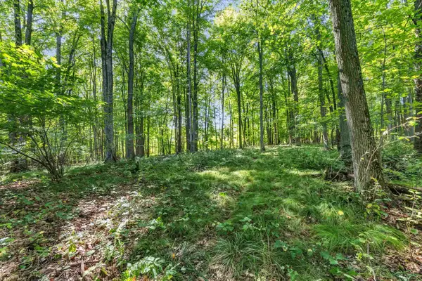 N West Hill Road, IOLA, WI 54945