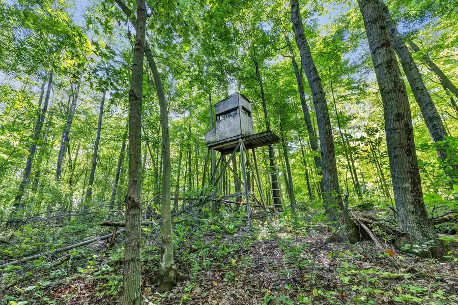 N West Hill Road, Iola, WI 54945 - #3