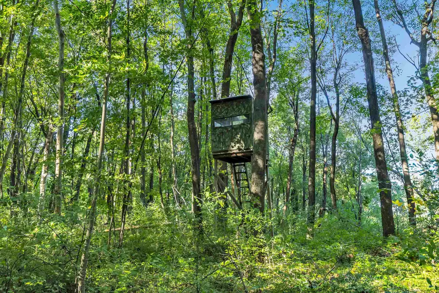 E559 Indian Valley Road, Waupaca, WI 54981 - #3