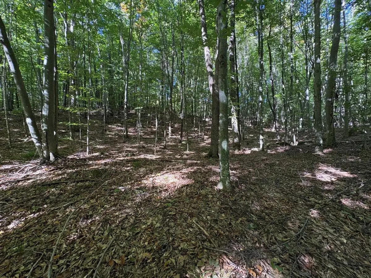 Bear Cave Road, Silver Cliff, WI 54104 - #1