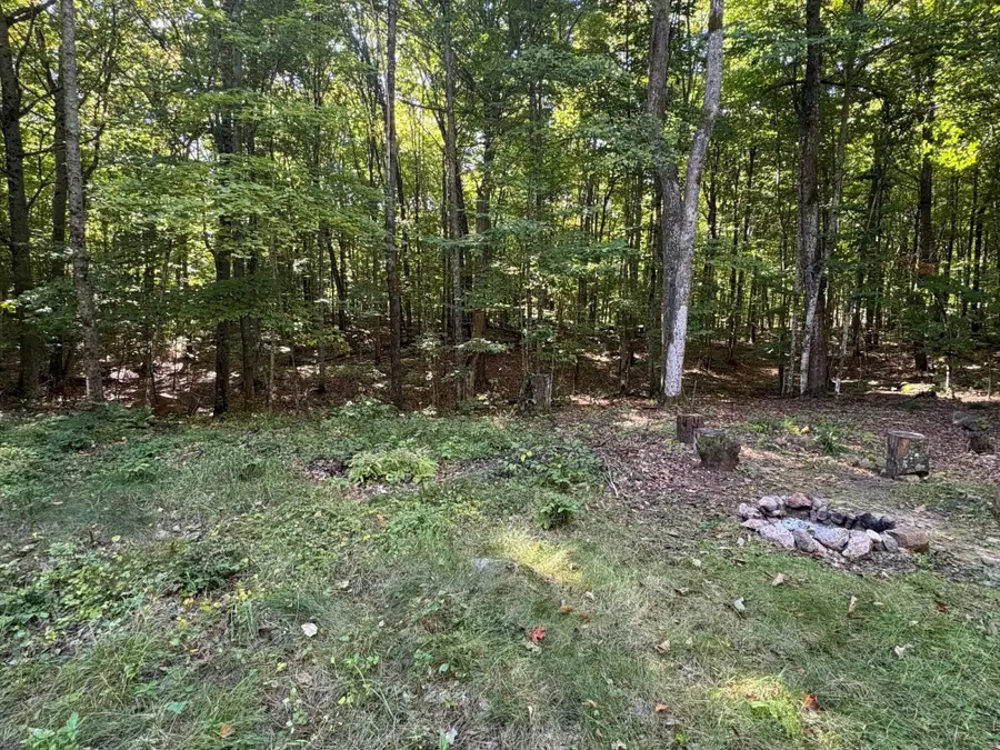 Bear Cave Road, Silver Cliff, WI 54104 - #3
