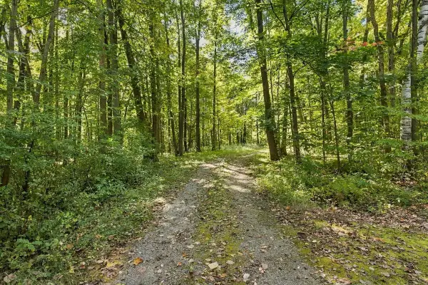 W681 Pearl Street, ONEIDA, WI 54155-9645
