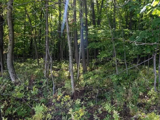 Cty Hwy A, Athens, WI 54411 - #3