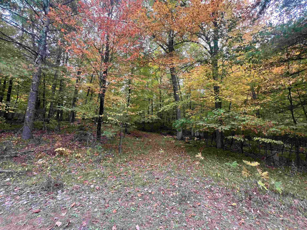 N17031 Roth Lane, Pembine, WI 54156 - #1
