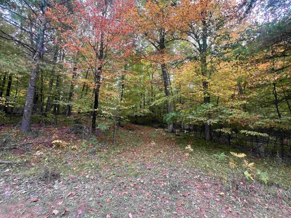 N17031 Roth Lane, PEMBINE, WI 54156