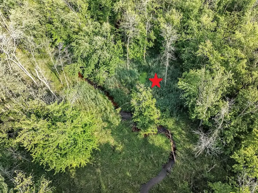 Wilson Road, Algoma, WI 54201 - #3