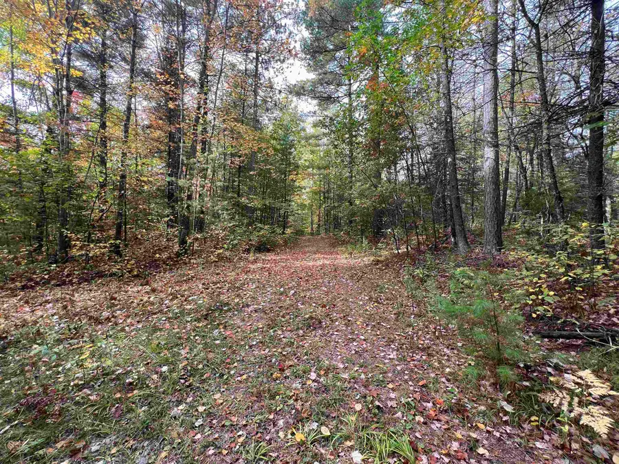 Old 38 Road, Amberg, WI 54102 - #2